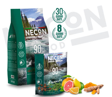 Natural Wellness Adult mit Lachs und Reis