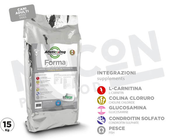 Atletic Dog Forma