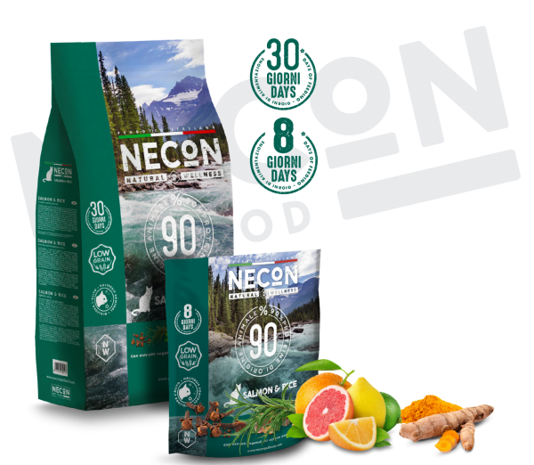 Natural Wellness Adult mit Lachs und Reis